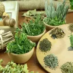 Learning to buy a herbal plants in sri lankafrom zero to one hundred