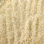 Raw white sesame seeds specifications and how to buy in bulk
