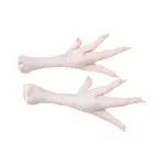 chicken feet yellow buying guide with special conditions and exceptional price