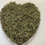 Learning to buy an thyme leaves in bisaya from zero to one hundred