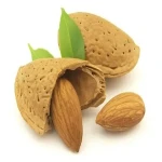 organic almonds in shell buying guide with special conditions and exceptional price
