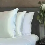 Bulk Purchase of Feather Pillow with the Best Conditions