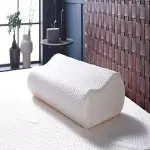 Bulk purchase of memory foam travel pillow with the best conditions