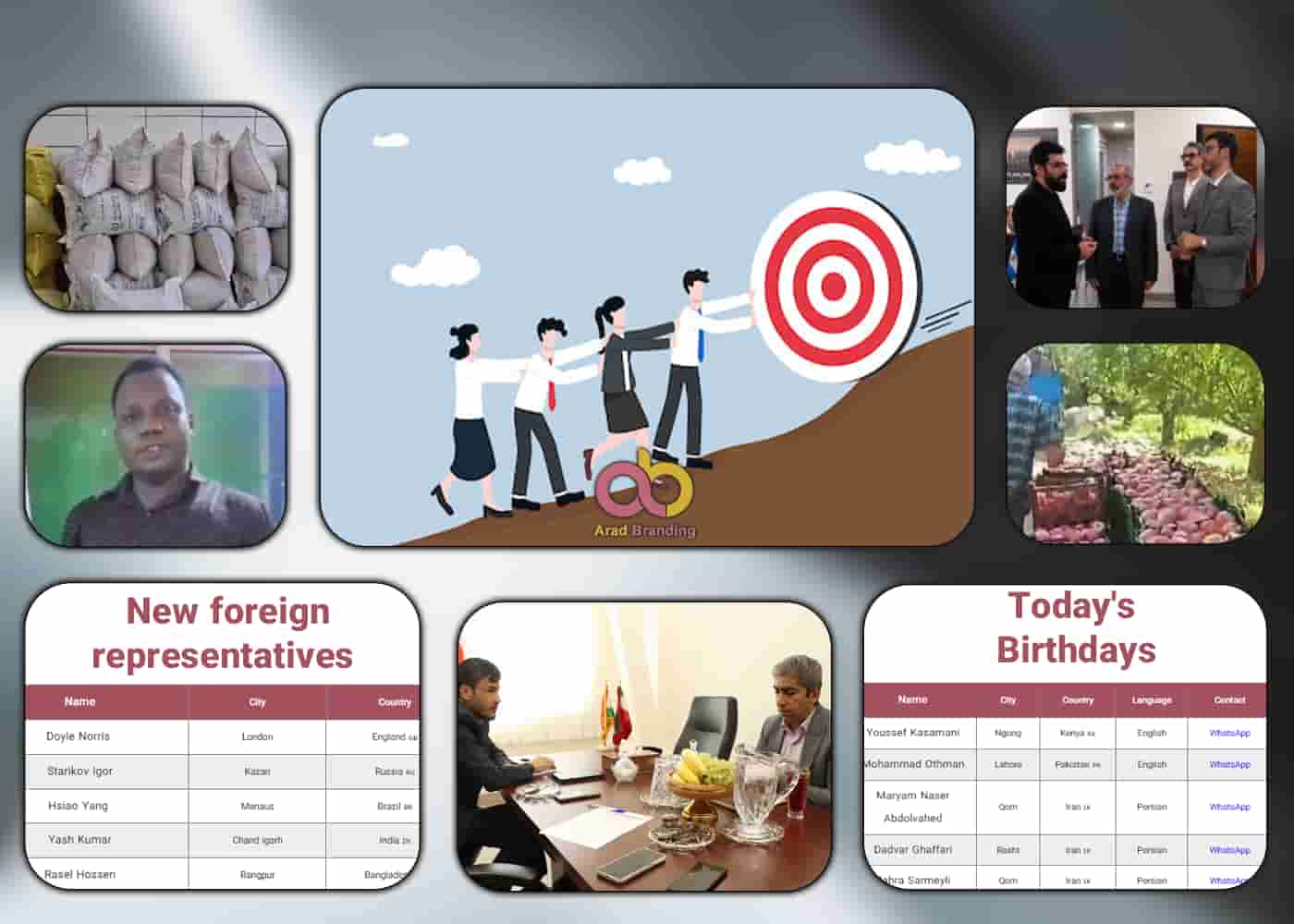 Video Documentations, International Potentials