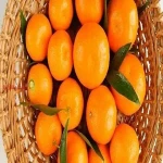 orange fruit in urdu specifications and how to buy in bulk