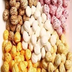 small mint candy specifications and how to buy in bulk