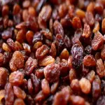 dried raisin in the sun acquaintance from zero to one hundred bulk purchase prices