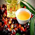 Bulk purchase of date seed oil extraction at home with the best conditions