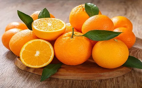 Navel Orange Price per Kilo