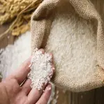 short grain rice buying guide with special conditions and exceptional price