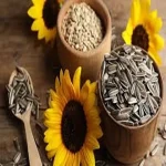 sunflower seed in spanish  acquaintance from zero to one hundred bulk purchase prices