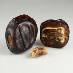 Price and purchase soft fresh dates with complete specifications