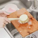 Bulk purchase of sink brush cleaner with the best conditions