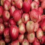 Golden Apples Price + the Best Purchase Day Price of Golden Apples with the Latest Sale Price List