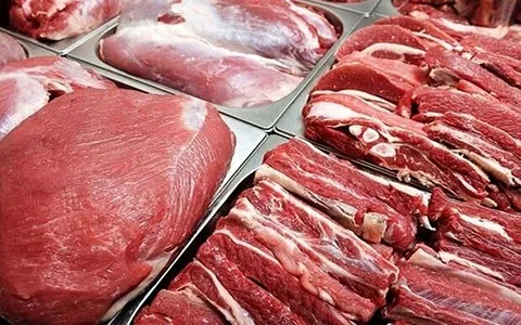 Bulk purchase of beef meat in urdu with the best conditions