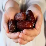 date fruit vietnam acquaintance from zero to one hundred bulk purchase prices