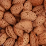sweet almond nut bar price list wholesale and economical