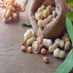 Buy the best selling types of peanuts with the best quality