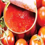 tomato paste japan buying guide with special conditions and exceptional price