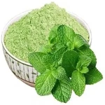 Price and purchase dried mint leaves powder with complete specifications