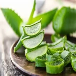 Bulk purchase of organic aloe vera leaves with the best conditions