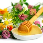 Multifloral honey jar price list wholesale and economical