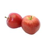 shemer apple  | Sellers at reasonable prices shemer apple