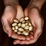 wonderful pistachios lightly salted no shells specifications and how to buy in bulk