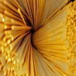 Price and purchase spaghetti gluten free with complete specifications