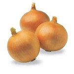 yellow onion in india specifications and how to buy in bulk