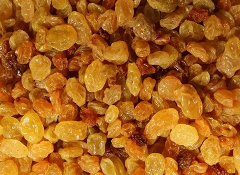 golden raisins vs regular raisins taste and nutrition facts