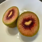 kiwi red in the middle with complete explanations and familiarization