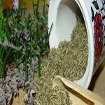 dry vegetables in pakistan buying guide with special conditions and exceptional price