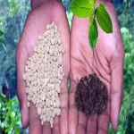 synthesis nano organic fertilizers Price List Wholesale and Economical