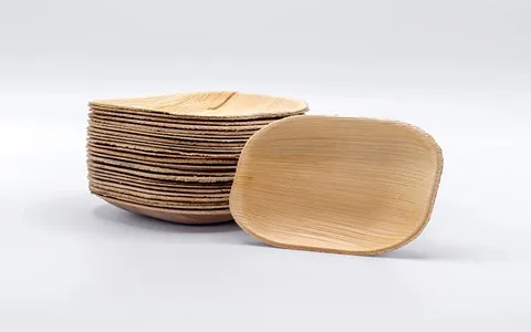 Disposable Plastic Plates Square + Disposable Plastic Plates Rectangular