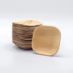 Disposable Plastic Plates Square + Disposable Plastic Plates Rectangular