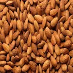Raw almond nuts with complete explanations and familiarization