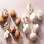 Learning to buy an mushroom small white from zero to one hundred