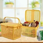 Bulk purchase of plastic fruit basket with cover with the best conditions