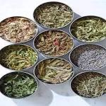 Learning to buy an pure veg in india from zero to one hundred