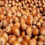 Hazelnuts in Sri Lanka; Round Spherical Contains Calcium Phosphorus Iron Protein