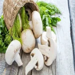 mushroom nutrition benefits for skin