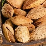 raw almonds with shell with complete explanations and familiarization