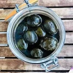 english pickled walnuts buying guide with special conditions and exceptional price