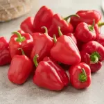 Red capsicum sweet acquaintance from zero to one hundred bulk purchase prices