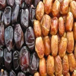 Purchase And Day Price of Fresh Mazafati Dates