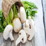 Button Mushroom Price per Pound