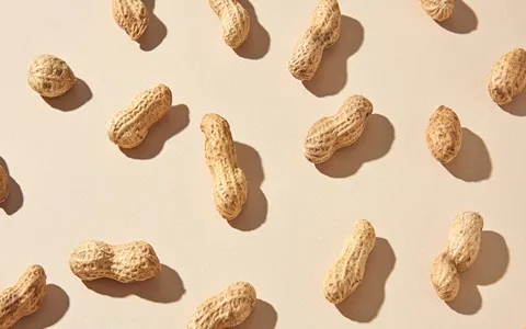 Roasted Peanut in Mumbai; Heart Disease Improvement Weight Loss Strong Flavor