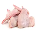 The price of bulk purchase of raw chicken wings is cheap and reasonable