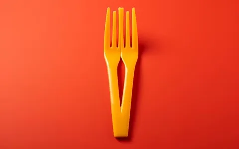 plastic fork in french buying guide with special conditions and exceptional price